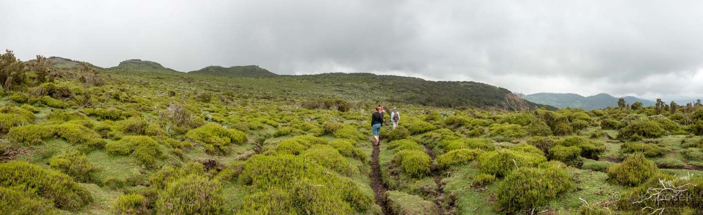 [Group 31]-DSC 7317 DSC 7319-3 images